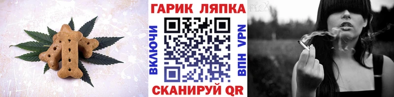 магазин продажи наркотиков  Щучье  Еда ТГК конопля 